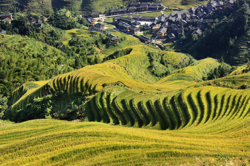 无人,家,农田,横图,俯视,室外,白天,旅游,度假,庄稼,梯田,农作物,美景,山,山脉,峡谷,中国,亚洲,阴影,曲折,弯曲,光线,纹路,纹理,影子,房屋,屋子,景观,山峰,山谷,山峦,娱乐,楼房,住宅,阳光,自然,群山,享受,休闲,瓦房,景色,放松,蜿蜒,广西,连绵,绵延,自然风光,山岭,东亚,龙胜,广西壮族自治区,肌理,中华人民共和国,桂,华南地区,联贯,龙胜各族自治县,金坑梯田,彩图,高角度拍摄,耕地,庄稼田,房子,shwf1