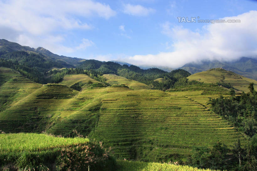无人,农田,横图,俯视,室外,白天,旅游,度假,庄稼,梯田,农作物,石头,美景,山,山脉,树林,峡谷,植物,中国,亚洲,阴影,曲折,弯曲,光线,纹路,石子,纹理,影子,景观,山峰,云,云朵,山谷,山峦,云彩,娱乐,树,树木,蓝色,绿色,白云,蓝天,天空,阳光,自然,群山,天,享受,休闲,景色,放松,蜿蜒,生长,晴朗,成长,广西,连绵,绵延,岩层,自然风光,山岭,东亚,龙胜,广西壮族自治区,肌理,中华人民共和国,桂,华南地区,联贯,龙胜各族自治县,金坑梯田,石块,岩石,晴空,彩图,高角度拍摄,耕地,庄稼田,shwf1