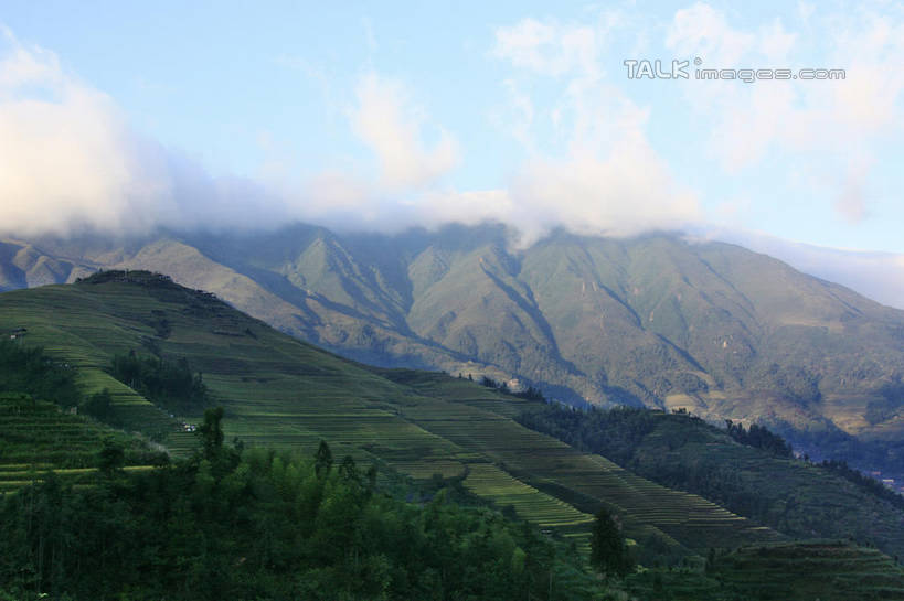 无人,农田,横图,俯视,室外,白天,旅游,度假,庄稼,梯田,农作物,石头,美景,山,山脉,树林,峡谷,植物,中国,亚洲,阴影,曲折,弯曲,光线,纹路,石子,纹理,影子,景观,山峰,云,云朵,山谷,山峦,云彩,娱乐,树,树木,蓝色,绿色,白云,蓝天,天空,阳光,自然,群山,天,享受,休闲,景色,放松,蜿蜒,生长,晴朗,成长,广西,连绵,绵延,岩层,自然风光,山岭,东亚,龙胜,广西壮族自治区,肌理,中华人民共和国,桂,华南地区,联贯,龙胜各族自治县,金坑梯田,石块,岩石,晴空,彩图,高角度拍摄,耕地,庄稼田,shwf1