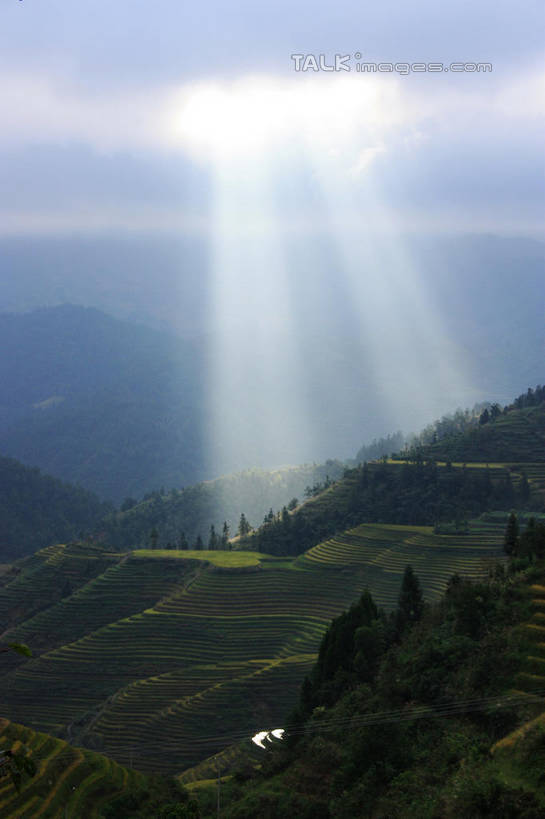 无人,农田,竖图,俯视,航拍,室外,白天,旅游,度假,庄稼,梯田,农作物,日出,石头,美景,山,山脉,太阳,峡谷,雾,中国,亚洲,朦胧,梦幻,模糊,曲折,弯曲,发光,光束,纹路,石子,纹理,景观,山峰,朝霞,晨曦,光亮,黎明,山谷,山峦,娱乐,阳光,自然,群山,享受,休闲,景色,放松,蜿蜒,广西,连绵,迷雾,绵延,未来,岩层,鸟瞰,发亮,自然风光,山岭,东亚,憧憬,龙胜,广西壮族自治区,肌理,中华人民共和国,桂,华南地区,联贯,龙胜各族自治县,金坑梯田,石块,岩石,朝阳,大雾,彩图,高角度拍摄,耕地,庄稼田,卯时,破晓,日始,shwf1