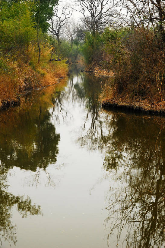 无人,公园,竖图,室外,白天,正面,旅游,度假,湖,湖泊,美景,水,植物,中国,亚洲,湖面,景观,水流,水面,乌云,云,阴天,云朵,枝条,云彩,娱乐,浙江,树,树木,树枝,浙江省,绿色,天空,自然,湖水,天,享受,休闲,景色,放松,生长,成长,杭州,西溪,昏暗,阴沉,自然风光,东亚,杭州市,中华人民共和国,华东地区,省会,浙,虬枝,枝杈,西湖区,彩图,西溪国家湿地公园,杭州之肺,杭州西溪国家湿地公园,shwf1