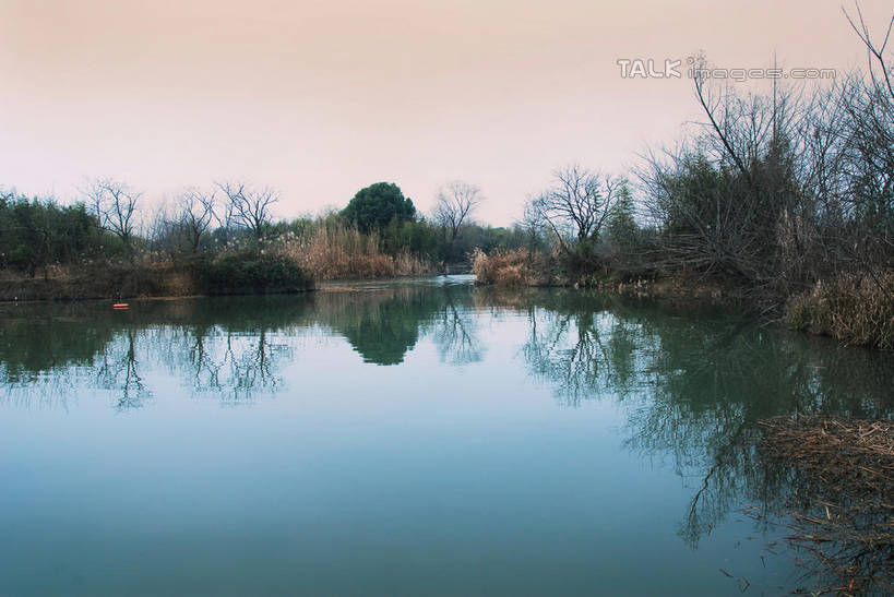 无人,公园,横图,室外,白天,正面,旅游,度假,湖,湖泊,美景,日落,水,植物,芦苇,叶子,中国,亚洲,阴影,光线,影子,湖面,景观,水流,水面,晚霞,霞光,落日,粽叶,绿叶,枝条,娱乐,浙江,树,树木,树枝,浙江省,绿色,阳光,自然,黄昏,湖水,享受,休闲,嫩叶,景色,彩霞,放松,生长,成长,杭州,西溪,自然风光,东亚,杭州市,中华人民共和国,华东地区,省会,浙,箬叶,芦苇叶,夕照,虬枝,枝杈,薄暮,西湖区,叶,叶片,夕阳,彩图,傍晚,西溪国家湿地公园,杭州之肺,杭州西溪国家湿地公园,斜阳,shwf1
