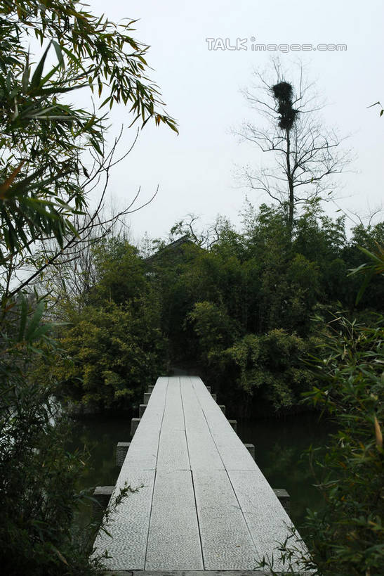 无人,公园,竖图,室外,白天,正面,旅游,度假,河流,美景,树林,水,植物,芦苇,叶子,中国,亚洲,阴影,光线,影子,河水,景观,水流,粽叶,绿叶,枝条,娱乐,浙江,树,树木,树枝,浙江省,蓝色,绿色,蓝天,天空,阳光,自然,天,享受,休闲,嫩叶,景色,放松,生长,晴朗,成长,杭州,西溪,自然风光,东亚,杭州市,万里无云,中华人民共和国,华东地区,省会,浙,箬叶,芦苇叶,虬枝,枝杈,西湖区,叶,叶片,晴空,晴空万里,彩图,西溪国家湿地公园,杭州之肺,杭州西溪国家湿地公园,shwf1