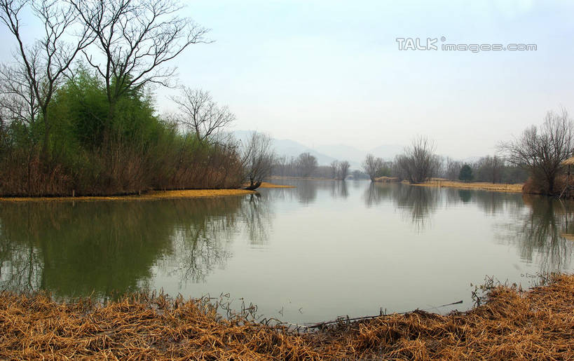 无人,公园,横图,室外,白天,正面,旅游,度假,河流,美景,山,山脉,树林,水,植物,芦苇,叶子,中国,亚洲,阴影,光线,影子,河水,景观,山峰,水流,粽叶,绿叶,枝条,山峦,娱乐,浙江,树,树木,树枝,浙江省,蓝色,绿色,蓝天,天空,阳光,自然,群山,天,享受,休闲,嫩叶,景色,放松,生长,晴朗,成长,杭州,西溪,自然风光,东亚,杭州市,万里无云,中华人民共和国,华东地区,省会,浙,箬叶,芦苇叶,虬枝,枝杈,西湖区,叶,叶片,晴空,晴空万里,彩图,西溪国家湿地公园,杭州之肺,杭州西溪国家湿地公园,shwf1