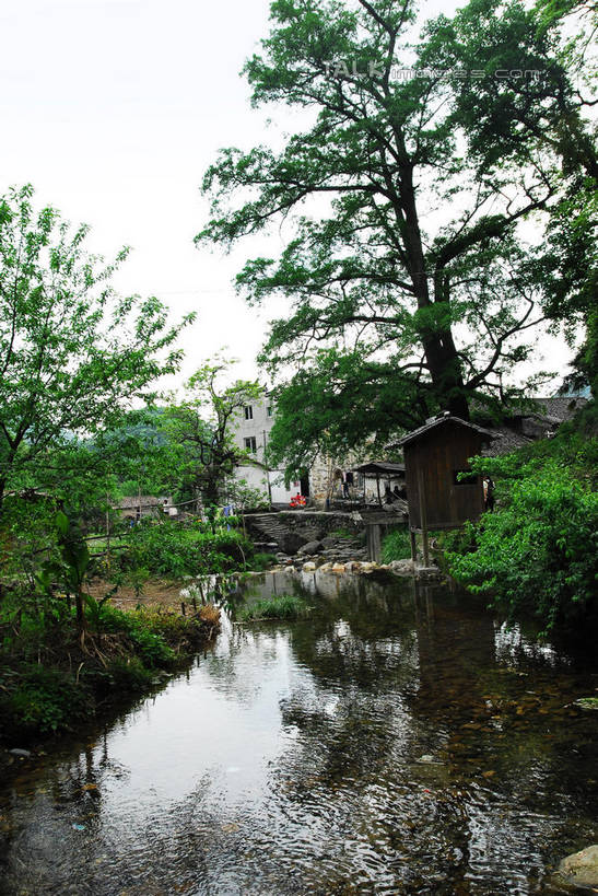 无人,家,竖图,室外,白天,正面,旅游,度假,河流,名胜古迹,水,植物,标志建筑,地标,建筑,中国,亚洲,遗迹,房屋,屋子,河水,水流,建筑群,枝条,古迹,文物,娱乐,建设,古建筑,江西,景德镇,楼房,住宅,树,树木,树枝,绿色,自然,享受,休闲,旅游胜地,瓦房,放松,生长,成长,古文明,东亚,江西省,中华人民共和国,华东地区,赣,景德镇市,虬枝,枝杈,彩图,房子,瑶里镇,瑶里古镇,瑶里,shwf1