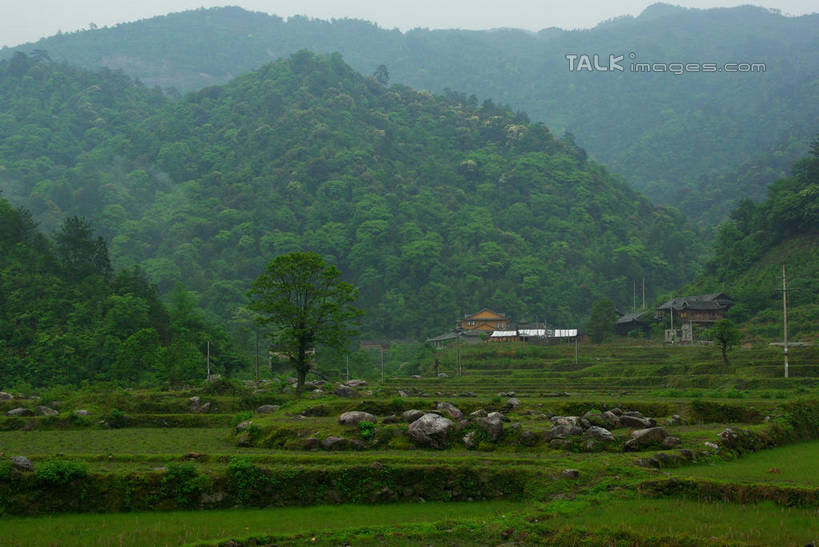 无人,家,木屋,农田,横图,室外,白天,正面,旅游,度假,庄稼,农作物,日出,美景,森林,山,山脉,树林,太阳,植物,雾,中国,亚洲,朦胧,模糊,景观,山峰,朝霞,晨曦,黎明,山峦,娱乐,江西,景德镇,住宅,树,树木,绿色,阳光,自然,群山,享受,休闲,景色,放松,生长,成长,迷雾,自然风光,东亚,江西省,中华人民共和国,华东地区,赣,景德镇市,朝阳,大雾,彩图,耕地,庄稼田,卯时,破晓,日始,茅舍,茅屋,棚屋,小木屋,小屋,瑶里镇,瑶里古镇,瑶里,shwf1