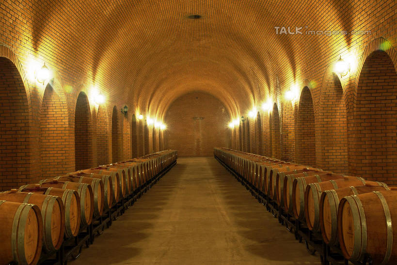 红酒,葡萄酒,无人,横图,室内,白天,正面,度假,美景,城市风光,城市,照明,中国,亚洲,一排,阴影,整齐,光线,壁灯,桶,影子,墙,景观,灯光,酒类,娱乐,蓬莱,山东,烟台,君顶酒庄,酒窖,墙壁,墙面,灯,酒,饮料,排列,容器,灯具,享受,休闲,红葡萄酒,景色,放松,储藏,照亮,照明设备,储存,队列,东亚,山东省,中华人民共和国,华东地区,鲁,烟台市,彩图,中粮南王山谷君顶酒庄,中粮君顶酒庄,蓬莱市,酒库,贮存,shwf1