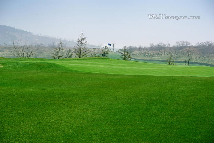 无人,横图,室外,白天,正面,度假,草地,草坪,美景,山,山脉,植物,城市风光,城市,中国,亚洲,阴影,光线,影子,景观,山峰,球场,山峦,娱乐,蓬莱,山东,烟台,君顶酒庄,高尔夫球场,草,树,树木,蓝色,绿色,蓝天,天空,阳光,自然,群山,天,享受,休闲,景色,放松,生长,晴朗,成长,绿茵场,东亚,山东省,万里无云,中华人民共和国,华东地区,鲁,烟台市,晴空,晴空万里,彩图,中粮南王山谷君顶酒庄,中粮君顶酒庄,蓬莱市,shwf1