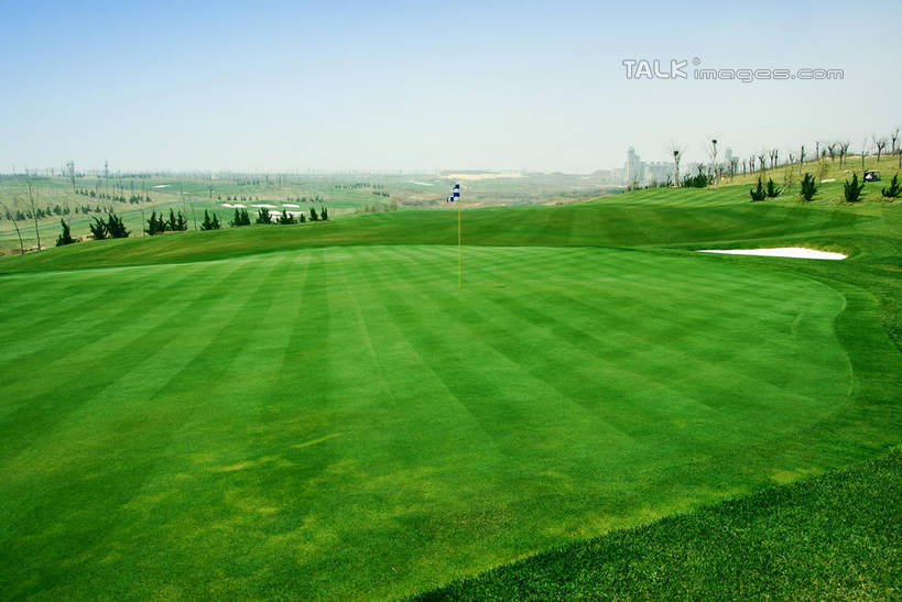 无人,横图,室外,白天,正面,度假,草地,草坪,美景,沙漠,山,山脉,植物,城市风光,城市,中国,亚洲,阴影,光线,影子,景观,山峰,球场,枝条,山峦,娱乐,蓬莱,山东,烟台,君顶酒庄,高尔夫球场,草,树,树木,树枝,蓝色,绿色,蓝天,天空,阳光,自然,群山,天,享受,休闲,景色,放松,生长,晴朗,成长,绿茵场,东亚,山东省,万里无云,中华人民共和国,华东地区,鲁,烟台市,虬枝,枝杈,大漠,砂漠,晴空,晴空万里,彩图,中粮南王山谷君顶酒庄,中粮君顶酒庄,蓬莱市,shwf1