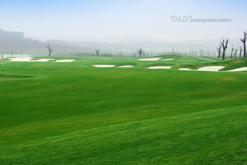 无人,横图,室外,白天,正面,度假,草地,草坪,美景,沙漠,植物,城市风光,城市,中国,亚洲,阴影,光线,影子,景观,球场,枝条,娱乐,蓬莱,山东,烟台,君顶酒庄,高尔夫球场,草,树,树木,树枝,蓝色,绿色,蓝天,天空,阳光,自然,天,享受,休闲,景色,放松,生长,晴朗,成长,绿茵场,东亚,山东省,万里无云,中华人民共和国,华东地区,鲁,烟台市,虬枝,枝杈,大漠,砂漠,晴空,晴空万里,彩图,中粮南王山谷君顶酒庄,中粮君顶酒庄,蓬莱市,shwf1