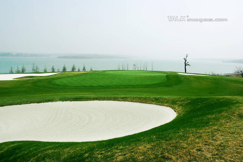 无人,横图,室外,白天,正面,度假,草地,草坪,海浪,海洋,美景,沙漠,植物,城市风光,城市,中国,亚洲,阴影,光线,影子,景观,浪花,球场,枝条,娱乐,蓬莱,山东,烟台,君顶酒庄,高尔夫球场,草,树,树木,树枝,蓝色,绿色,蓝天,天空,阳光,自然,海水,天,享受,休闲,景色,放松,生长,晴朗,成长,绿茵场,海景,东亚,山东省,万里无云,中华人民共和国,华东地区,鲁,烟台市,虬枝,枝杈,大海,大漠,风浪,海,海水的波动,近岸浪,砂漠,涌浪,晴空,晴空万里,彩图,中粮南王山谷君顶酒庄,中粮君顶酒庄,蓬莱市,shwf1