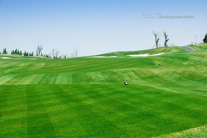 无人,横图,室外,白天,正面,度假,草地,草坪,美景,沙漠,植物,城市风光,城市,中国,亚洲,阴影,光线,影子,景观,球场,枝条,娱乐,蓬莱,山东,烟台,君顶酒庄,高尔夫球场,草,树,树木,树枝,蓝色,绿色,蓝天,天空,阳光,自然,天,享受,休闲,景色,放松,生长,晴朗,成长,绿茵场,东亚,山东省,万里无云,中华人民共和国,华东地区,鲁,烟台市,虬枝,枝杈,大漠,砂漠,晴空,晴空万里,彩图,中粮南王山谷君顶酒庄,中粮君顶酒庄,蓬莱市,shwf1