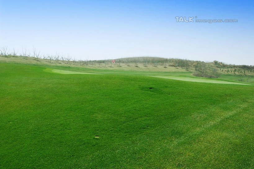 无人,横图,室外,白天,正面,度假,草地,草坪,美景,沙漠,植物,城市风光,城市,中国,亚洲,阴影,光线,影子,景观,球场,枝条,娱乐,蓬莱,山东,烟台,君顶酒庄,高尔夫球场,草,树,树木,树枝,蓝色,绿色,蓝天,天空,阳光,自然,天,享受,休闲,景色,放松,生长,晴朗,成长,绿茵场,东亚,山东省,万里无云,中华人民共和国,华东地区,鲁,烟台市,虬枝,枝杈,大漠,砂漠,晴空,晴空万里,彩图,中粮南王山谷君顶酒庄,中粮君顶酒庄,蓬莱市,shwf1