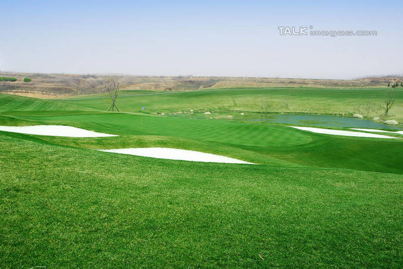 无人,横图,室外,白天,正面,度假,草地,草坪,湖,湖泊,美景,沙漠,水,植物,城市风光,城市,中国,亚洲,阴影,光线,影子,湖面,景观,水流,水面,球场,枝条,娱乐,蓬莱,山东,烟台,君顶酒庄,高尔夫球场,草,树,树木,树枝,蓝色,绿色,蓝天,天空,阳光,自然,湖水,天,享受,休闲,景色,放松,生长,晴朗,成长,绿茵场,东亚,山东省,万里无云,中华人民共和国,华东地区,鲁,烟台市,虬枝,枝杈,大漠,砂漠,晴空,晴空万里,彩图,中粮南王山谷君顶酒庄,中粮君顶酒庄,蓬莱市,shwf1