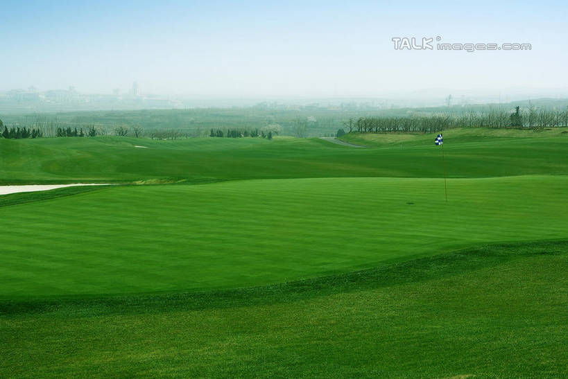 无人,横图,室外,白天,正面,度假,草地,草坪,美景,沙漠,植物,城市风光,城市,中国,亚洲,阴影,光线,影子,景观,球场,枝条,娱乐,蓬莱,山东,烟台,君顶酒庄,高尔夫球场,草,树,树木,树枝,蓝色,绿色,蓝天,天空,阳光,自然,天,享受,休闲,景色,放松,生长,晴朗,成长,绿茵场,东亚,山东省,万里无云,中华人民共和国,华东地区,鲁,烟台市,虬枝,枝杈,大漠,砂漠,晴空,晴空万里,彩图,中粮南王山谷君顶酒庄,中粮君顶酒庄,蓬莱市,shwf1
