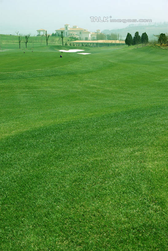 无人,竖图,室外,白天,正面,度假,草地,草坪,美景,沙漠,植物,城市风光,城市,中国,亚洲,阴影,光线,影子,景观,球场,枝条,娱乐,蓬莱,山东,烟台,君顶酒庄,高尔夫球场,草,树,树木,树枝,蓝色,绿色,蓝天,天空,阳光,自然,天,享受,休闲,景色,放松,生长,晴朗,成长,绿茵场,东亚,山东省,万里无云,中华人民共和国,华东地区,鲁,烟台市,虬枝,枝杈,大漠,砂漠,晴空,晴空万里,彩图,中粮南王山谷君顶酒庄,中粮君顶酒庄,蓬莱市,shwf1