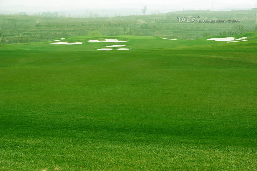 无人,横图,室外,白天,正面,度假,草地,草坪,美景,沙漠,植物,城市风光,城市,中国,亚洲,阴影,光线,影子,景观,球场,枝条,娱乐,蓬莱,山东,烟台,君顶酒庄,高尔夫球场,草,树,树木,树枝,蓝色,绿色,蓝天,天空,阳光,自然,天,享受,休闲,景色,放松,生长,晴朗,成长,绿茵场,东亚,山东省,万里无云,中华人民共和国,华东地区,鲁,烟台市,虬枝,枝杈,大漠,砂漠,晴空,晴空万里,彩图,中粮南王山谷君顶酒庄,中粮君顶酒庄,蓬莱市,shwf1