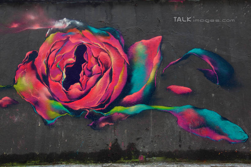 无人,横图,室外,白天,正面,抽象,旅游,度假,绘画,标志建筑,地标,建筑,上海,中国,亚洲,艺术,盛开,彩绘,图案,墙,艺术品,古典,花蕾,文化,娱乐,建设,莫干山路,墙壁,墙面,花,花瓣,花朵,鲜花,工艺品,花苞,花蕊,品味,享受,休闲,概念,旅游胜地,放松,美术,申,高雅,东亚,普陀区,上海市,中华人民共和国,沪,华东地区,美学,图文,彩图,涂鸦,M50创意园,shwf1