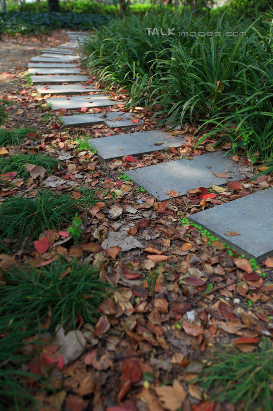 无人,竖图,俯视,室外,白天,旅游,度假,草地,草坪,美景,秋季,植物,道路,路,叶子,上海,中国,亚洲,一堆,许多,阴影,堆叠,堆积,光线,影子,景观,小路,枯叶,落叶,交通,很多,娱乐,草,绿色,阳光,自然,享受,休闲,景色,放松,堆,申,自然风光,黄浦区,东亚,上海市,中华人民共和国,沪,华东地区,叶,叶片,秋,秋天,彩图,高角度拍摄,雁荡路,复兴公园,shwf1