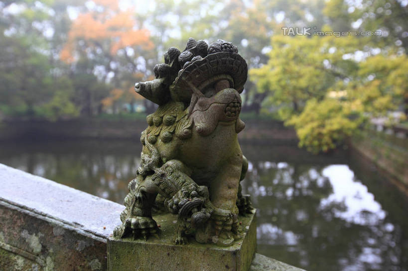 无人,横图,室外,特写,白天,正面,河流,美景,水,植物,哺乳动物,野生动物,狮子,雕塑,中国,亚洲,阴影,辟邪,朦胧,模糊,艺术,装饰,光线,雕刻,雕像,影子,河水,景观,水流,文化,浙江,石雕,树,树木,浙江省,绿色,倒影,阳光,自然,动物,工艺品,石狮,祈祷,健康,景色,许愿,生长,成长,纪念,祈求,美术,倒映,自然风光,主题,凶猛,陈列,东亚,普陀区,普陀山,法雨寺,中华人民共和国,华东地区,浙,功能,美学,驱邪,祛邪,避邪,舟山,舟山市,守护神,反照,残暴,平安,凶残,彩图,海天佛国,shwf1