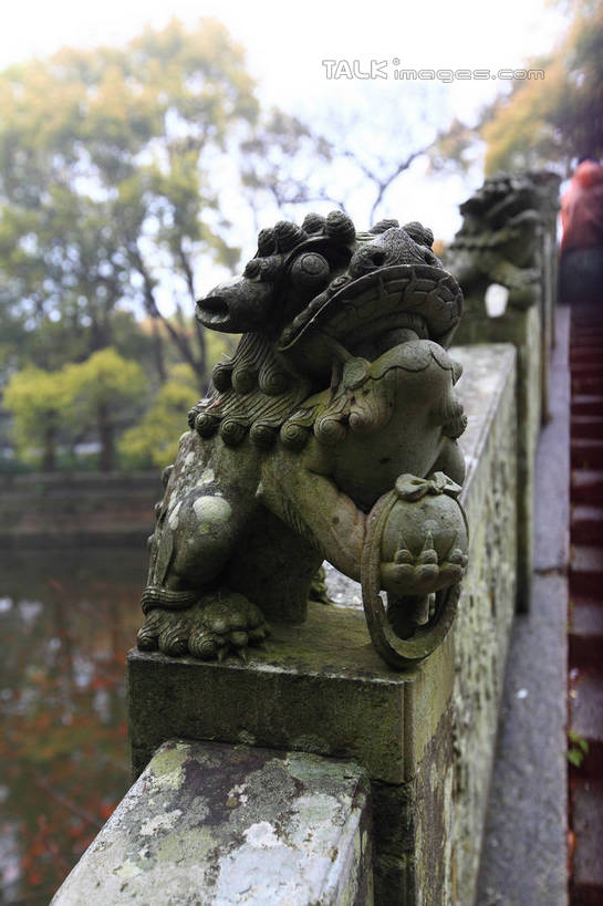 无人,竖图,室外,特写,白天,正面,河流,美景,水,植物,哺乳动物,野生动物,狮子,雕塑,中国,亚洲,阴影,辟邪,朦胧,模糊,艺术,装饰,光线,雕刻,雕像,影子,河水,景观,水流,文化,浙江,石雕,树,树木,浙江省,绿色,倒影,阳光,自然,动物,工艺品,石狮,祈祷,健康,景色,许愿,生长,成长,纪念,祈求,美术,倒映,自然风光,主题,凶猛,陈列,东亚,普陀区,普陀山,法雨寺,中华人民共和国,华东地区,浙,功能,美学,驱邪,祛邪,避邪,舟山,舟山市,守护神,反照,残暴,平安,凶残,彩图,海天佛国,shwf1