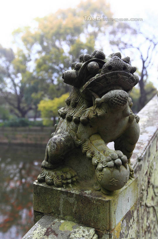 无人,竖图,室外,特写,白天,正面,河流,美景,水,植物,哺乳动物,野生动物,狮子,雕塑,中国,亚洲,阴影,辟邪,朦胧,模糊,艺术,装饰,光线,雕刻,雕像,影子,河水,景观,水流,文化,浙江,石雕,树,树木,浙江省,绿色,倒影,阳光,自然,动物,工艺品,石狮,祈祷,健康,景色,许愿,生长,成长,纪念,祈求,美术,倒映,自然风光,主题,凶猛,陈列,东亚,普陀区,普陀山,法雨寺,中华人民共和国,华东地区,浙,功能,美学,驱邪,祛邪,避邪,舟山,舟山市,守护神,反照,残暴,平安,凶残,彩图,海天佛国,shwf1