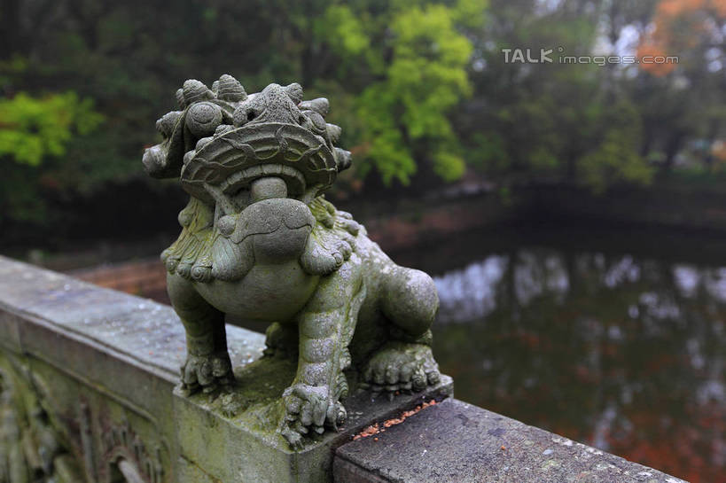 无人,横图,室外,特写,白天,正面,河流,美景,水,植物,哺乳动物,野生动物,狮子,雕塑,中国,亚洲,阴影,辟邪,朦胧,模糊,艺术,装饰,光线,雕刻,雕像,影子,河水,景观,水流,文化,浙江,石雕,树,树木,浙江省,绿色,倒影,阳光,自然,动物,工艺品,石狮,祈祷,健康,景色,许愿,生长,成长,纪念,祈求,美术,倒映,自然风光,主题,凶猛,陈列,东亚,普陀区,普陀山,法雨寺,中华人民共和国,华东地区,浙,功能,美学,驱邪,祛邪,避邪,舟山,舟山市,守护神,反照,残暴,平安,凶残,彩图,海天佛国,shwf1