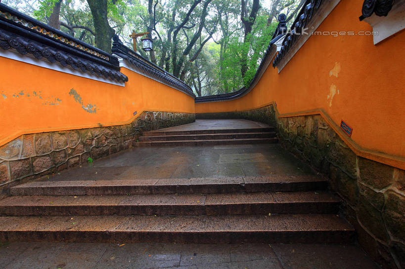 无人,寺庙,横图,室外,白天,正面,旅游,度假,名胜古迹,树林,植物,楼梯,标志建筑,地标,建筑,中国,亚洲,节日,遗迹,阶梯,墙,枝条,古迹,文化,文物,娱乐,建设,古建筑,浙江,墙壁,墙面,台阶,树,树木,树枝,浙江省,绿色,自然,庙宇,祈祷,享受,休闲,健康,橙色,旅游胜地,放松,许愿,宗教,佛教,信仰,生长,成长,纪念,祈求,古文明,东亚,普陀区,普陀山,法雨寺,中华人民共和国,华东地区,浙,舟山,舟山市,释教,虬枝,枝杈,平安,彩图,庙,寺,海天佛国,shwf1