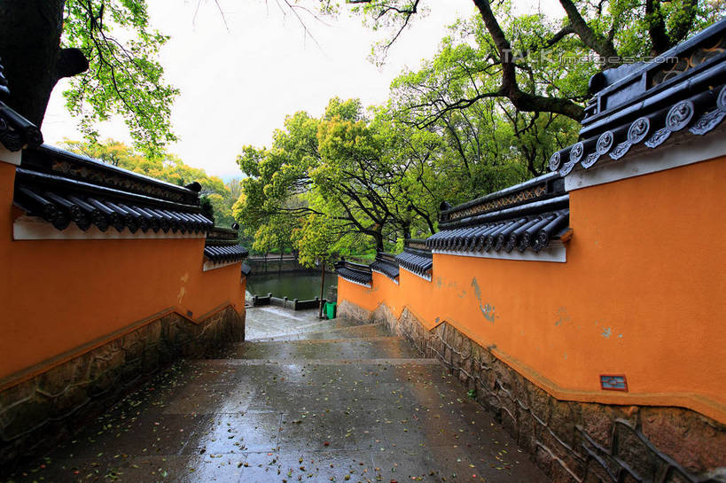 无人,寺庙,横图,室外,白天,正面,旅游,度假,名胜古迹,植物,楼梯,标志建筑,地标,建筑,中国,亚洲,节日,遗迹,阶梯,墙,古迹,文化,文物,娱乐,建设,古建筑,浙江,墙壁,墙面,台阶,树,树木,浙江省,绿色,天空,自然,庙宇,天,祈祷,享受,休闲,健康,橙色,旅游胜地,放松,许愿,宗教,佛教,信仰,生长,成长,纪念,祈求,古文明,东亚,普陀区,普陀山,法雨寺,中华人民共和国,华东地区,浙,舟山,舟山市,释教,平安,彩图,庙,寺,海天佛国,shwf1