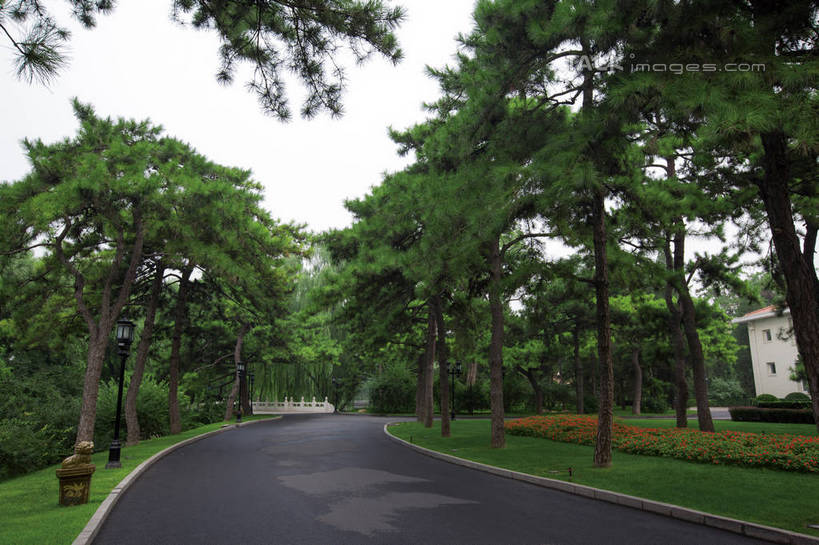 无人,宾馆,横图,室外,白天,正面,旅游,度假,草地,草坪,名胜古迹,树林,植物,标志建筑,道路,地标,建筑,路,公路,松树,北京,中国,亚洲,遗迹,柏油马路,交通,首都,古迹,文物,娱乐,建设,古建筑,草,树,树木,绿色,天空,自然,天,享受,休闲,旅游胜地,放松,生长,成长,柏油路,坚定,古文明,东亚,海淀区,中华人民共和国,北京市,京,北平,华北地区,长寿,贞洁,马路,彩图,客店,客栈,旅店,旅馆,旅舍,钓鱼台,钓鱼台国宾馆,玉渊潭,玉渊潭公园,shwf1