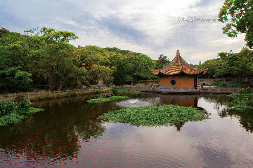 无人,寺庙,横图,室外,白天,正面,旅游,度假,草地,草坪,名胜古迹,树林,植物,标志建筑,地标,建筑,中国,亚洲,阴影,波纹,节日,遗迹,光线,影子,亭子,池塘,水池,云,云朵,涟漪,云彩,古迹,文化,文物,娱乐,建设,古建筑,浙江,草,树,树木,浙江省,蓝色,绿色,白云,倒影,蓝天,水纹,天空,阳光,自然,凉亭,庙宇,波浪,天,祈祷,享受,休闲,健康,旅游胜地,放松,许愿,宗教,佛教,信仰,生长,晴朗,成长,纪念,祈求,倒映,古文明,东亚,普陀区,普陀山,普济寺,中华人民共和国,华东地区,水晕,浙,舟山,舟山市,释教,反照,平安,晴空,彩图,庙,寺,普济禅院,海天佛国,海印池,普陀山普济寺,shwf1