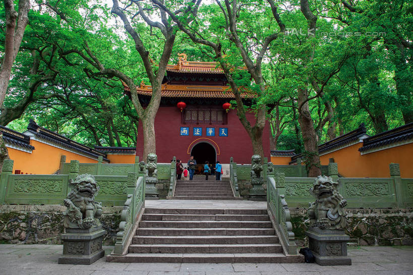 无人,寺庙,栏杆,横图,室外,白天,仰视,旅游,度假,名胜古迹,植物,楼梯,标志建筑,地标,建筑,哺乳动物,野生动物,狮子,雕塑,中国,亚洲,阴影,节日,辟邪,遗迹,艺术,装饰,光线,雕刻,雕像,扶手,影子,阶梯,枝条,古迹,文化,文物,娱乐,建设,古建筑,浙江,护栏,石雕,台阶,树,树木,树枝,浙江省,绿色,阳光,自然,动物,工艺品,庙宇,石狮,祈祷,享受,休闲,健康,旅游胜地,放松,许愿,宗教,佛教,信仰,生长,成长,纪念,祈求,美术,主题,凶猛,陈列,古文明,东亚,普陀区,普陀山,法雨禅寺,法雨寺,中华人民共和国,华东地区,浙,功能,美学,驱邪,祛邪,避邪,舟山,舟山市,守护神,释教,虬枝,枝杈,残暴,平安,凶残,彩图,低角度拍摄,全身,庙,寺,海天佛国,shwf1