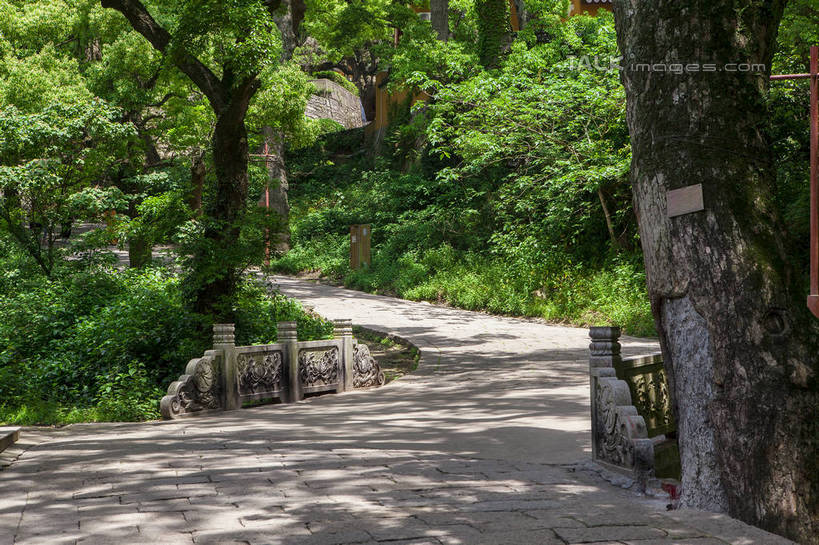 无人,栏杆,横图,室外,白天,正面,旅游,度假,美景,树林,植物,道路,路,桥梁,中国,亚洲,阴影,光线,影子,景观,围栏,小路,桥,树桩,交通,娱乐,石桥,浙江,护栏,树,树干,树木,浙江省,绿色,阳光,自然,享受,休闲,木桩,景色,放松,生长,成长,人行桥,自然风光,东亚,普陀区,普陀山,中华人民共和国,华东地区,浙,舟山,舟山市,彩图,海天佛国,shwf1