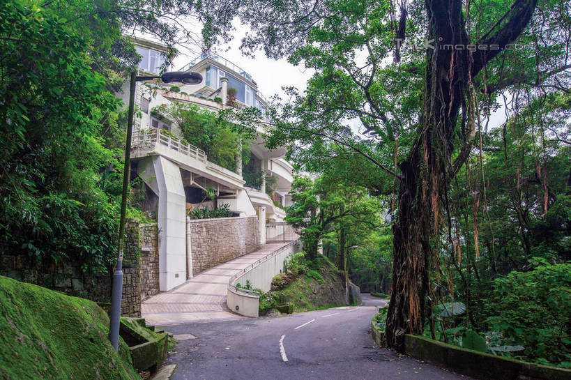 无人,家,横图,室外,白天,正面,度假,美景,植物,别墅,城市风光,城市,道路,路,路灯,公路,照明,香港,中国,亚洲,房屋,屋子,景观,公寓,灯光,分界线,停车线,交通,娱乐,洋房,楼房,住宅,灯,树,树木,太平山顶,绿色,天空,自然,天,享受,休闲,景色,放松,生长,成长,车行道,车行道分界线,照亮,港,照明设备,标线,东亚,车行线,香港岛,香港特别行政区,港澳台,中华人民共和国,太平山,港岛,马路,彩图,房子,shwf1