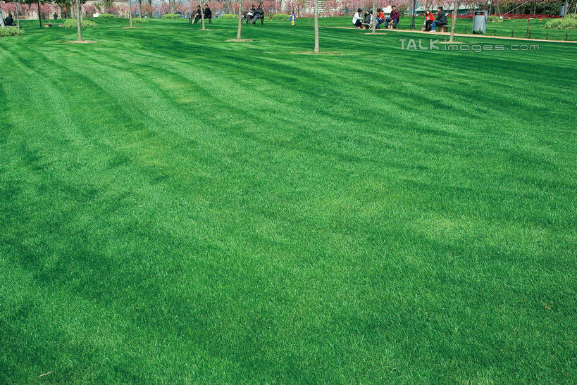 东方人,站,坐,走,横图,俯视,室外,白天,度假,时尚,办公楼,草地,草坪,美景,植物,城市风光,城市,写字楼,上海,中国,亚洲,阴影,光线,影子,景观,云,云朵,许多人,都市,云彩,黄种人,娱乐,现代,浦东,草,蓝色,绿色,白云,蓝天,天空,阳光,天,站着,一群人,享受,休闲,商务楼,景色,放松,申,浦东新区,世纪大道,东亚,中心绿地,上海市,中华人民共和国,沪,华东地区,商业圈,陆家嘴绿地,上海陆家嘴中心绿地,男人,男性,年轻男性,年轻女性,女人,女性,亚洲人,步行,散步,站立,走路,坐着,彩图,高角度拍摄,全身,商业中心,shwf1