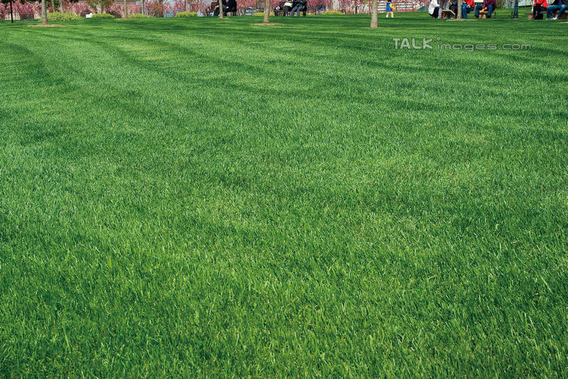 东方人,站,坐,走,横图,俯视,室外,白天,度假,时尚,办公楼,草地,草坪,美景,植物,城市风光,城市,写字楼,上海,中国,亚洲,阴影,光线,影子,景观,云,云朵,许多人,都市,云彩,黄种人,娱乐,现代,浦东,草,蓝色,绿色,白云,蓝天,天空,阳光,天,站着,一群人,享受,休闲,商务楼,景色,放松,申,浦东新区,世纪大道,东亚,中心绿地,上海市,中华人民共和国,沪,华东地区,商业圈,陆家嘴绿地,上海陆家嘴中心绿地,男人,男性,年轻男性,年轻女性,女人,女性,亚洲人,步行,散步,站立,走路,坐着,半身,彩图,高角度拍摄,商业中心,shwf1