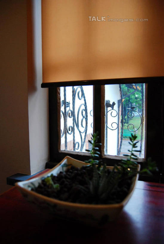 无人,家,竖图,室内,白天,正面,安全,植物,别墅,窗户,窗帘,桌面,桌子,叶子,阴影,装饰,反射,木制,盆栽,影子,房屋,木桌,屋子,公寓,绿叶,防护,盆景,洋房,楼房,防盗窗,玻璃窗,住宅,绿色,自然,帘子,木制品,嫩叶,遮阳,生长,成长,保护,华丽,修饰,点缀,保险,保全,周全,安稳,安定,衬托,美观,雅致,雅观,平安,叶,叶片,彩图,房子,木桌子,shxw1