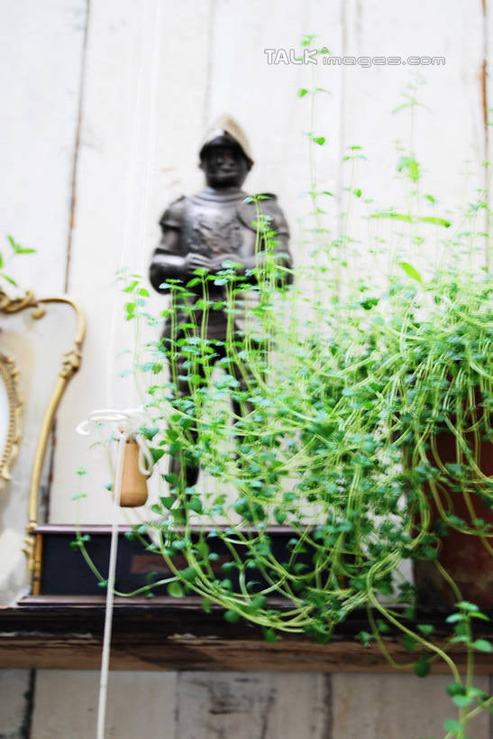 无人,竖图,室内,白天,仰视,植物,叶子,雕塑,艺术,装饰,雕刻,雕像,墙,绿叶,置物架,架子,墙壁,墙面,绿色,自然,工艺品,嫩叶,生长,成长,纪念,美术,主题,陈列架,陈列,功能,美学,搁架,叶,叶片,彩图,低角度拍摄,铜雕,shxw1