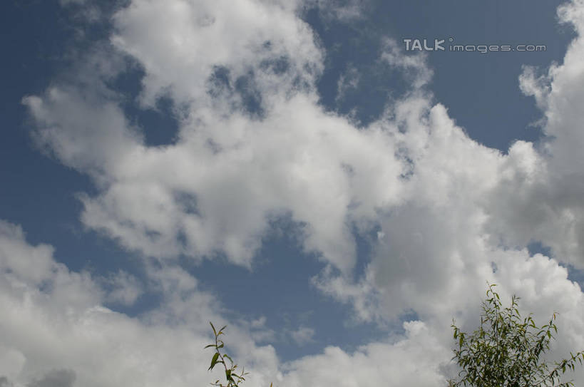 无人,横图,室外,特写,白天,仰视,美景,山,山脉,植物,丽江,中国,亚洲,阴影,光线,影子,景观,山峰,云,云朵,山峦,云彩,云南,树,树木,拉市海,蓝色,绿色,白云,蓝天,天空,阳光,自然,群山,天,景色,生长,晴朗,成长,自然风光,东亚,云南省,中华人民共和国,西南地区,滇,丽江市,玉龙纳西族自治县,晴空,彩图,低角度拍摄,shylt1