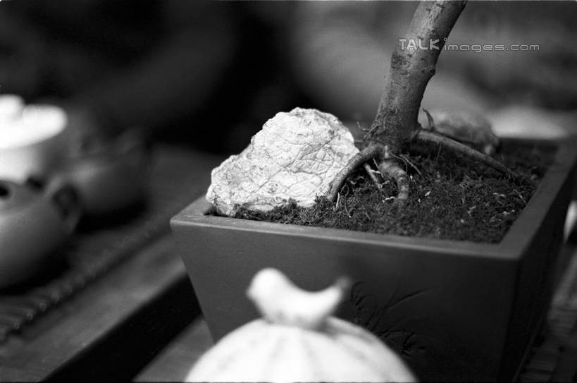 无人,横图,俯视,黑白,室外,特写,白天,许多,阴影,朦胧,模糊,反射,木制,壶,木盒,影子,泥土,土壤,枝条,很多,茶楼,水壶,树枝,茶壶,木制品,容器,茶馆,储藏,茶室,储存,茶房,茶肆,虬枝,枝杈,高角度拍摄,贮存,shylt1