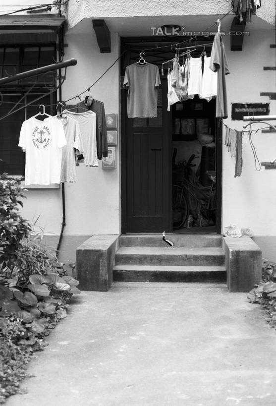 无人,家,竖图,黑白,室外,白天,正面,度假,草地,草坪,美景,植物,楼梯,城市风光,城市,衣架,上海,中国,亚洲,吊挂,悬挂,服装,房屋,阶梯,屋子,景观,公寓,挂,休闲装,娱乐,洋房,楼房,台阶,住宅,草,衣服,绿色,享受,休闲,休闲服,景色,放松,服饰,陕西南路,申,卢湾区,东亚,静安区,徐汇区,上海市,中华人民共和国,沪,华东地区,挂衣架,晾衣架,房子,shylt1