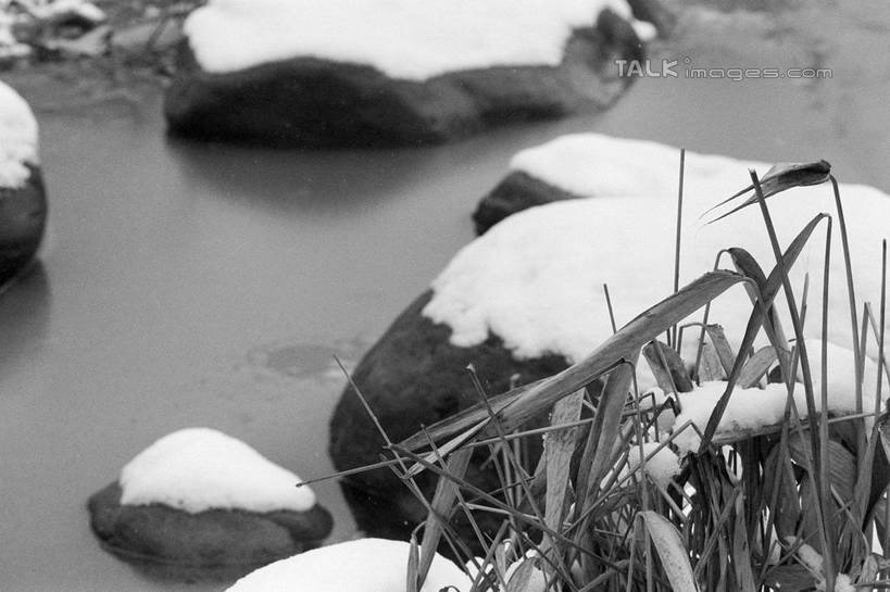 无人,横图,俯视,黑白,室外,特写,白天,旅游,度假,湖,湖泊,石头,美景,水,雪,大雪,盛开,石子,湖面,积雪,景观,水流,水面,水塘,雪景,冬季,冬天,枝条,花蕾,娱乐,花,花瓣,花朵,鲜花,树,树枝,倒影,自然,湖水,花苞,花蕊,享受,休闲,景色,放松,寒冷,鱼池,鱼塘,倒映,自然风光,严寒,反照,虬枝,枝杈,石块,岩石,高角度拍摄,shylt1
