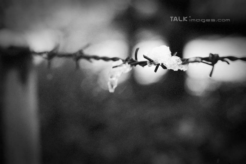 无人,横图,黑白,室外,特写,白天,正面,雪,大雪,连接,朦胧,模糊,缠绕,积雪,雪景,冬季,冬天,寒冷,铁链,链条,纠缠,严寒,贯穿,连结,衔接,串连,shylt1