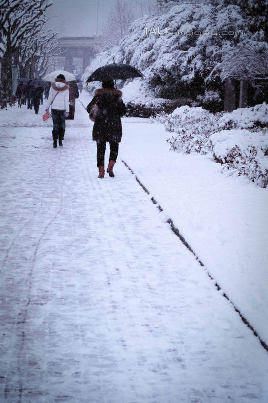 东方人,走,竖图,室外,白天,雪,植物,大雪,大桥,道路,立交桥,路,桥梁,公路,亚洲,行人,伞,雨伞,积雪,雪景,冬季,冬天,高架,桥,交通,许多人,黄种人,阳伞,路人,树,树木,背面,绿色,天空,自然,天,一群人,寒冷,生长,成长,严寒,过客,男人,男性,年轻男性,年轻女性,女人,女性,亚洲人,马路,步行,散步,走路,彩图,全身,shylt1