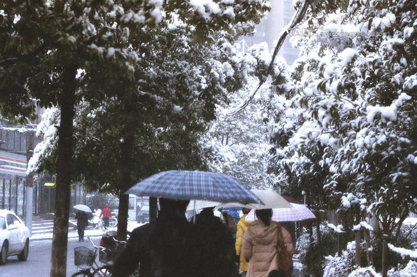 东方人,家,走,横图,室外,白天,雪,植物,大雪,道路,路,公路,亚洲,行人,伞,雨伞,房屋,屋子,积雪,雪景,冬季,冬天,交通,许多人,黄种人,阳伞,楼房,路人,住宅,树,树木,背面,绿色,自然,一群人,寒冷,生长,成长,严寒,过客,男人,男性,年轻男性,年轻女性,女人,女性,亚洲人,马路,步行,散步,走路,半身,彩图,房子,shylt1