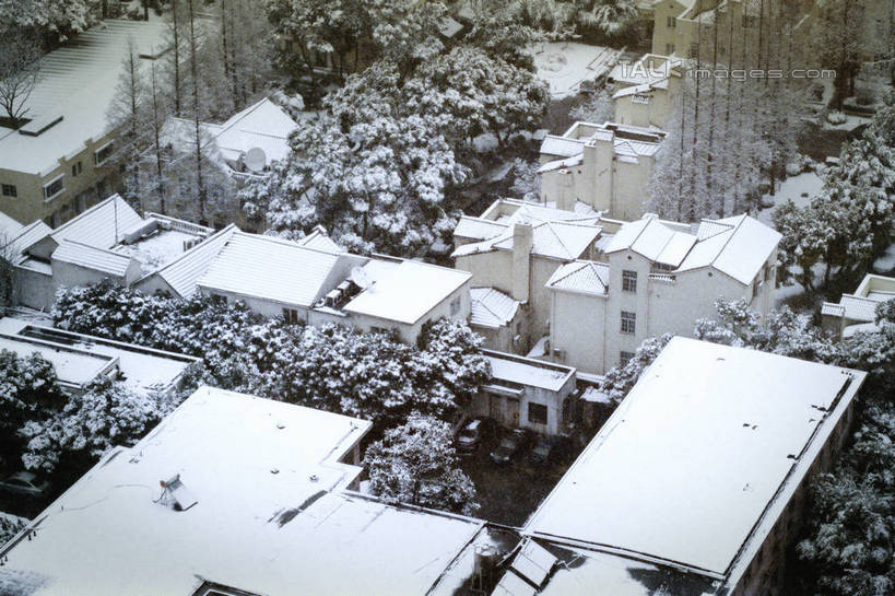 无人,家,横图,俯视,室外,白天,度假,美景,雪,植物,大雪,城市风光,城市,汽车,三辆,许多,停靠,房屋,屋顶,屋子,积雪,景观,雪景,冬季,冬天,顶棚,娱乐,楼房,住宅,车,树,树木,居民区,绿色,自然,小区,交通工具,轿车,享受,休闲,景色,放松,寒冷,停放,生长,成长,载具,严寒,彩图,高角度拍摄,房子,shylt1