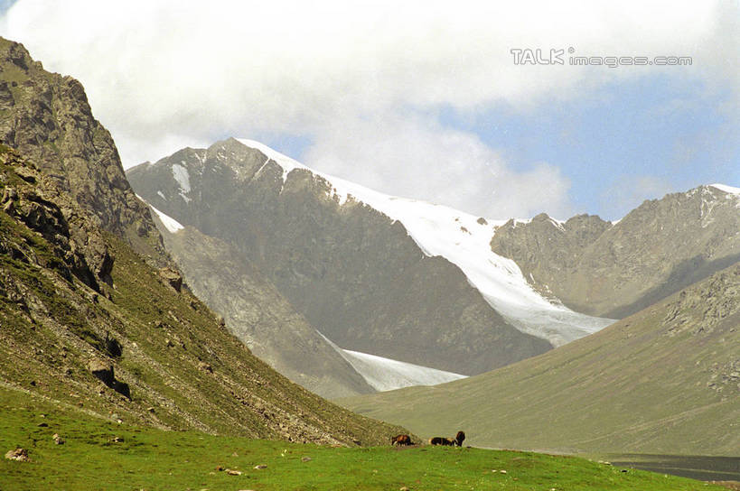 无人,横图,室外,白天,正面,旅游,度假,草地,草坪,石头,美景,山,雪,雪山,植物,大雪,中国,亚洲,阴影,光线,石子,影子,冰,积雪,景观,山顶,山峰,雪景,云,云朵,冬季,冬天,山峦,云彩,娱乐,草,蓝色,绿色,白云,蓝天,天空,阳光,自然,天,享受,休闲,景色,放松,寒冷,晴朗,冰冷,自然风光,东亚,沉积岩,乌鲁木齐,新疆,一号冰川,首府,中华人民共和国,严寒,冰凉,酷寒,凛冽,凛凛,极冷,乌鲁木齐市,新疆维吾尔自治区,西北地区,颠峰,极峰,水成岩,石块,岩石,晴空,彩图,天山乌鲁木齐河源1号冰川,新,shzwj1