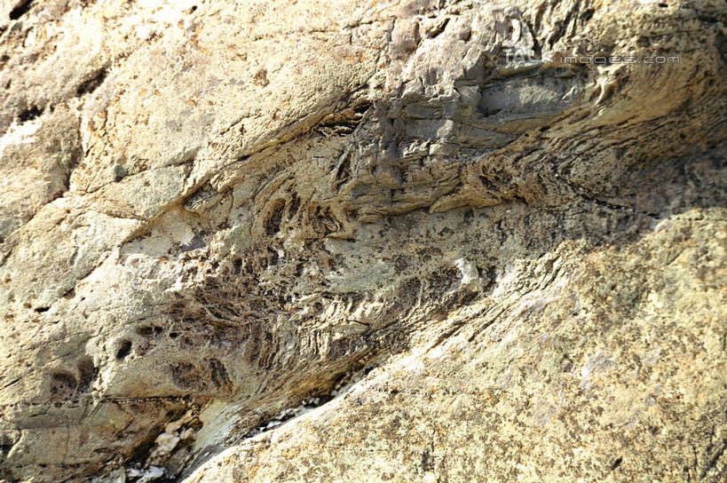 无人,横图,室外,白天,正面,旅游,度假,绘画,石头,美景,山,山脉,中国,亚洲,艺术,装饰,石子,墙,景观,山峰,山峦,文化,娱乐,壁画,墙壁,墙面,自然,群山,享受,休闲,景色,放松,华丽,修饰,点缀,自然风光,东亚,宁夏,贺兰山岩画,银川,首府,中华人民共和国,衬托,美观,雅致,雅观,西北地区,银川市,宁夏回族自治区,宁,石块,画画,彩图,贺兰山,shzwj1