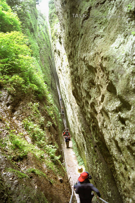无人,竖图,室外,白天,正面,旅游,度假,石头,美景,山,山脉,植物,中国,亚洲,石子,景观,山顶,山峰,山峦,娱乐,树,树木,绿色,自然,群山,享受,休闲,景色,放松,生长,成长,自然风光,东亚,湖南,莨山,天下第一巷,湖南省,中华人民共和国,华中地区,湘,邵阳,邵阳市,颠峰,极峰,石块,彩图,新宁县,shzwj1