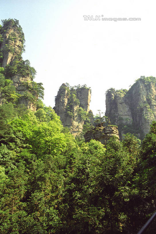 无人,公园,竖图,室外,白天,仰视,旅游,度假,石头,美景,森林,山,山脉,树林,植物,张家界,中国,亚洲,阴影,光线,石子,影子,景观,山顶,山峰,山峦,娱乐,树,树木,蓝色,绿色,蓝天,天空,阳光,自然,群山,天,享受,休闲,景色,放松,生长,晴朗,成长,自然风光,东亚,湖南,湖南省,森林公园,万里无云,张家界国家森林公园,中华人民共和国,华中地区,湘,张家界市,颠峰,极峰,石块,晴空,晴空万里,彩图,低角度拍摄,shzwj1